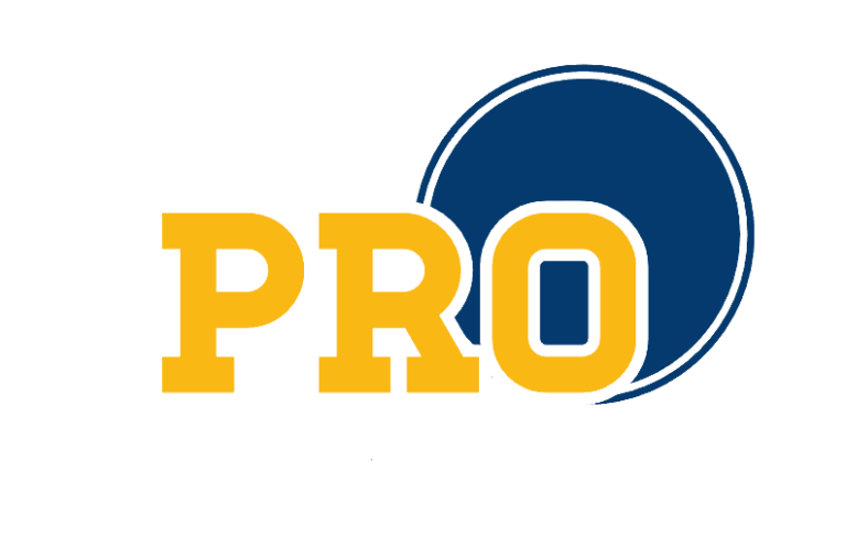 PRO-Networking-Logo